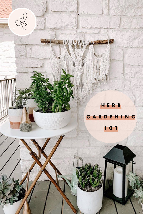 Herb Gardening 101